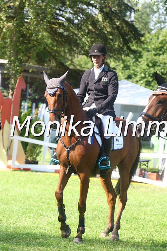 308M9373_Springpferde A.JPG